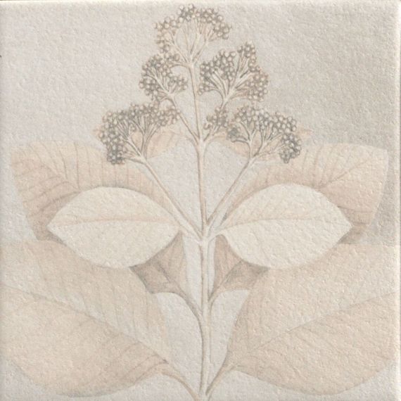 Soft Kamelia White 15x15