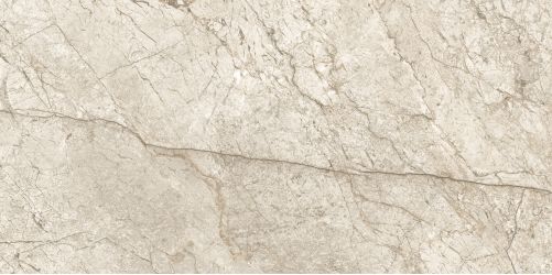 Sonante Arena Polished Rect 60x120