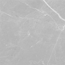 Spiderweb Silver Glossy 60x60