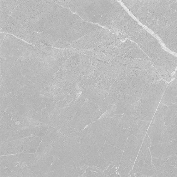 Spiderweb Silver Glossy 60x60