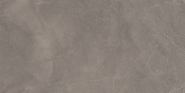 Splash Grey серый 60х120