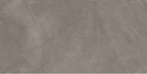 Splash Grey серый 60х120