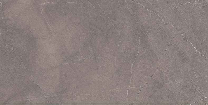 Splash Grey серый 60х120