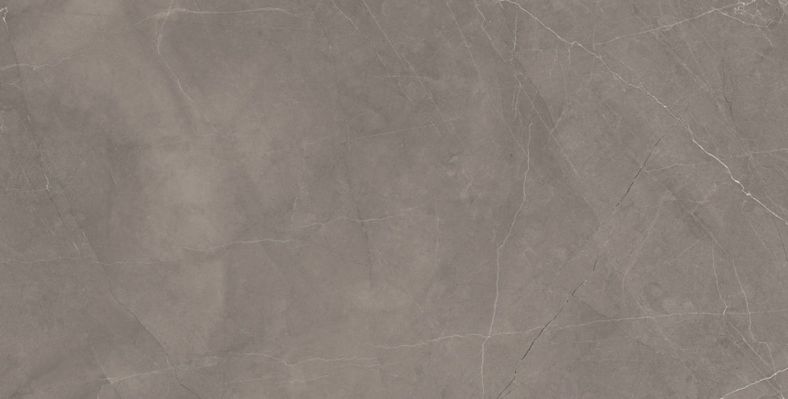 Splash Grey серый 60х120