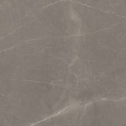 Splash Grey серый 60х60