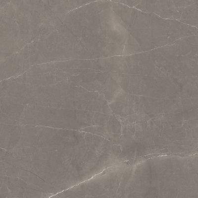 Splash Grey серый 60х60