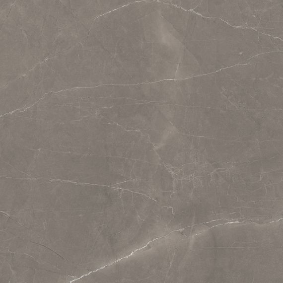 Splash Grey серый 60х60