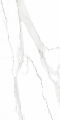 Statuario 80x160