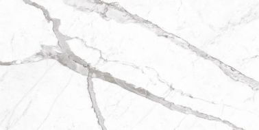 Statuario Altisimo Honed 60x120