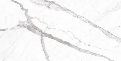 Statuario Altisimo Honed 60x120