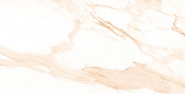 Statuario Beige 60x120
