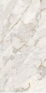 Statuario Brasiliano Matt Carving 60x120
