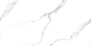 Statuario Carvino Matt 60x120