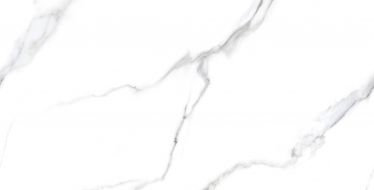 Statuario Carvino Polished 60x120