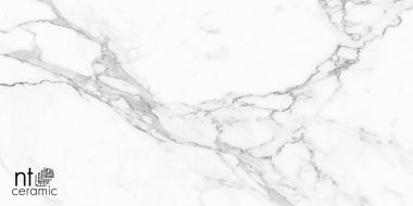 Statuario Infinity 120x60