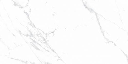 Statuario Justice Grey Белый Матовый 60х120