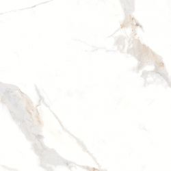 Statuario Marco Shiny Sugar 60x60