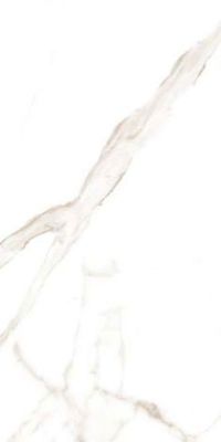 Statuario Oro Honed 6.5mm 60x120