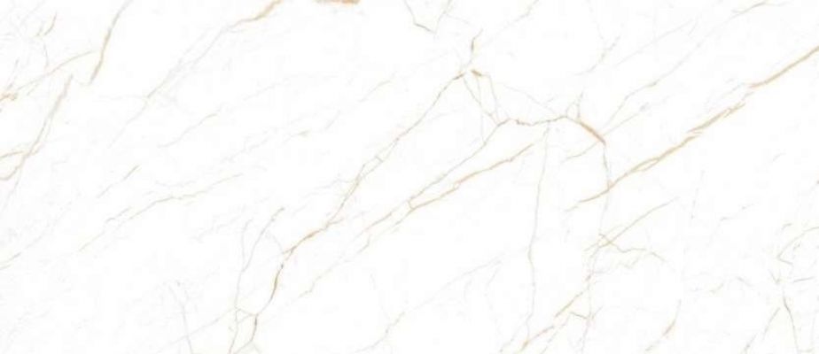 Statuario Oro White Polish 120х278