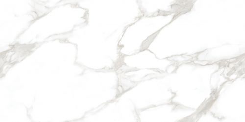 Statuario Perfect Silver Белый Полированный 60х120