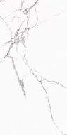 Statuario Venato Polished 60x120