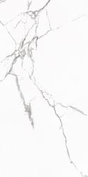 Statuario Venato Polished 60x120