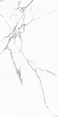 Statuario Venato Polished 60x120