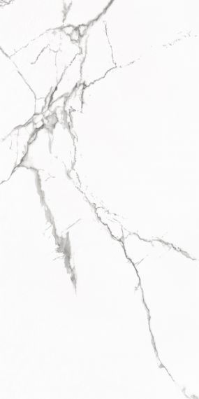 Statuario Venato Polished 60x120