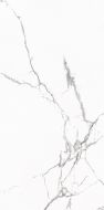 Statuario Venato Satin 60x120