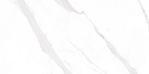 Statuary Blanco Leviglass 60x120