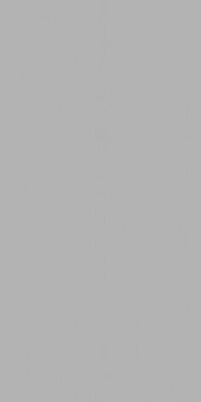 Steel Grey Polished  60х120