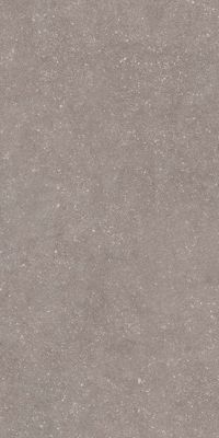 Stile French Grey Nat 60x120