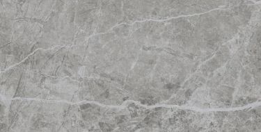 Stone Grey 60x120