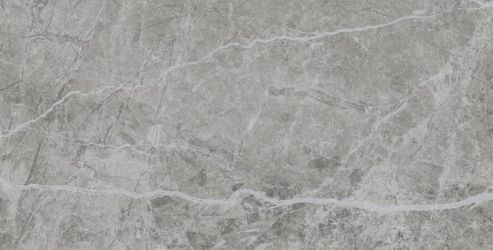 Stone Grey 60x120