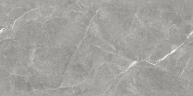 Stone Cool Grey Серый Матовый 60х120