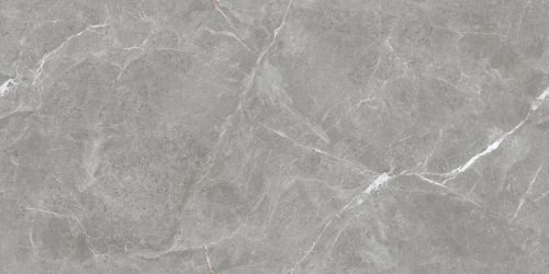 Stone Cool Grey Серый Матовый 60х120