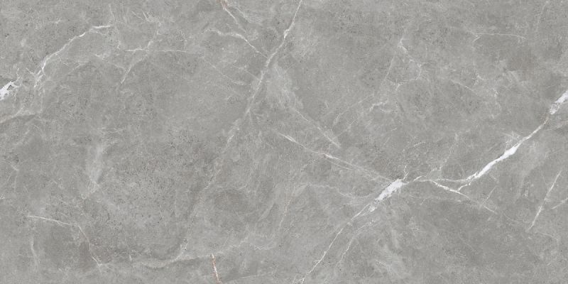 Stone Cool Grey Серый Матовый 60х120
