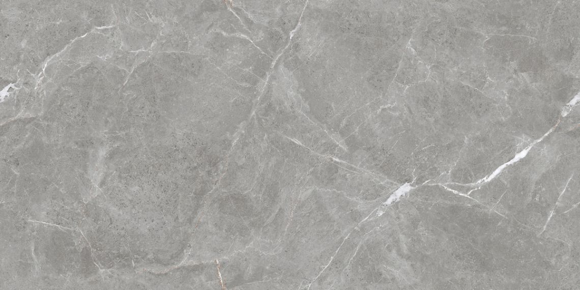 Stone Cool Grey Серый Матовый 60х120