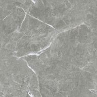 Stone Cool Grey Серый Матовый 60х60