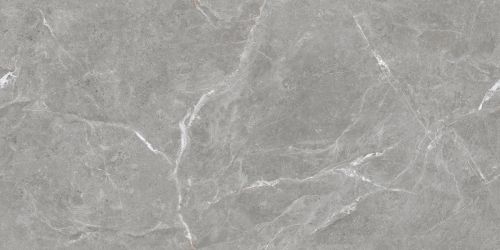 Stone Cool Grey Серый Полированный 60х120