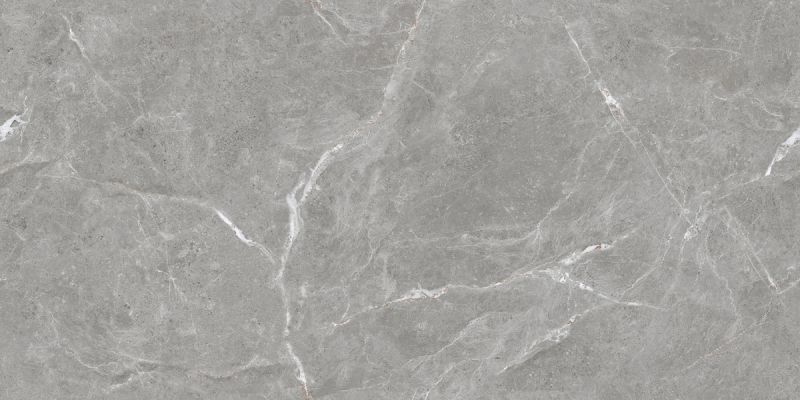 Stone Cool Grey Серый Полированный 60х120