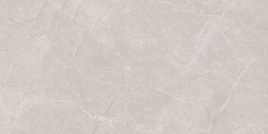 Stone Divine Grey Серый Матовый 60х120