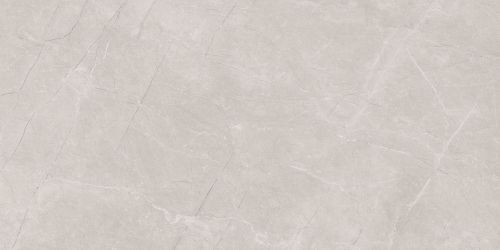 Stone Divine Grey Серый Матовый 60х120