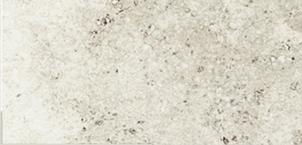Stone Sand 10x20