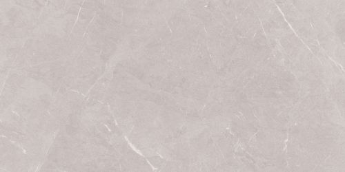 Stone Sovereign Серый Матовый 60х120