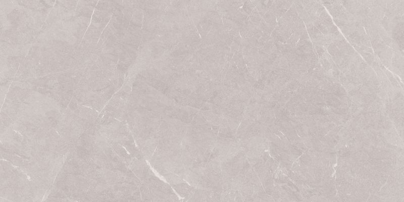 Stone Sovereign Серый Матовый 60х120