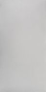 Studio Light Grey Polish 60x120