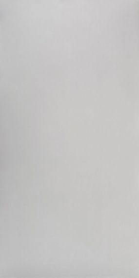 Studio Light Grey Polish 60x120