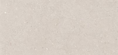 Stx Fossil Barley 59,8х119,8