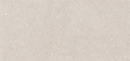 Stx Fossil Barley 59,8х119,8
